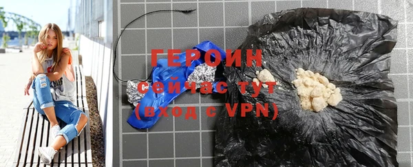 сатива Новодвинск