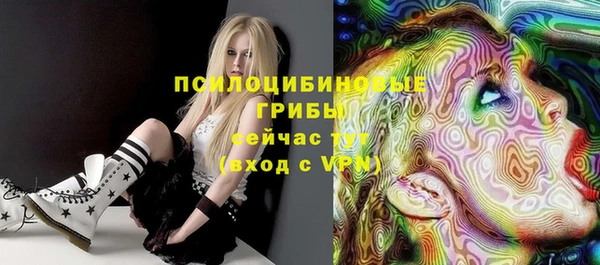 прущие грибы Нея
