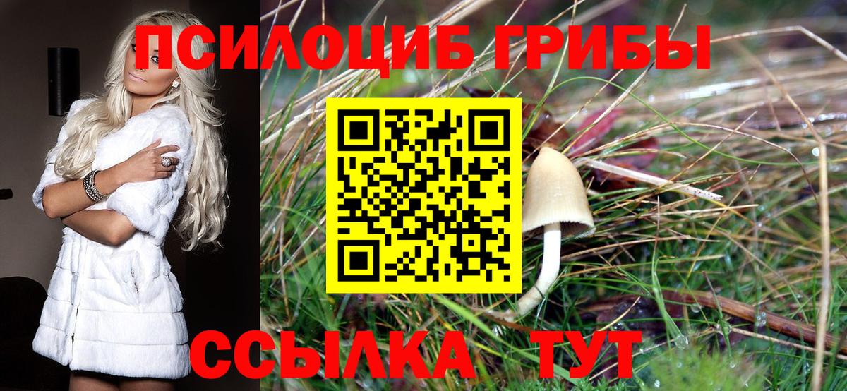 Псилоцибиновые грибы мухоморы  купить   Истра  Галлюциногенные грибы прущие грибы 