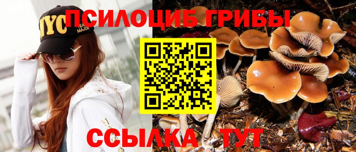 Галлюциногенные грибы Psilocybe Истра